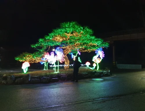 용인 양지리조트 경관조명