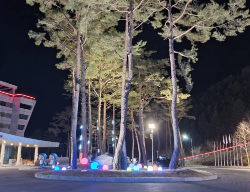 인제 스피디움 2022 경관조명