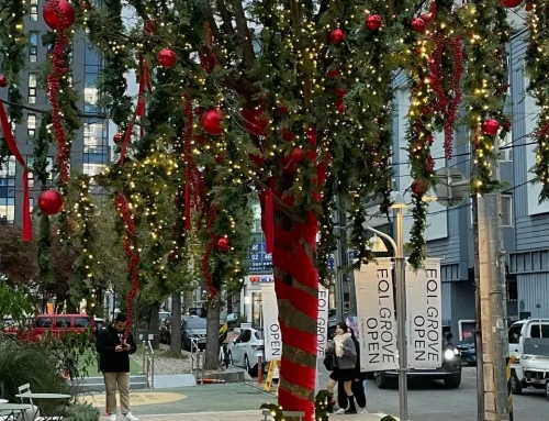 성동구 EQL 트리 연출