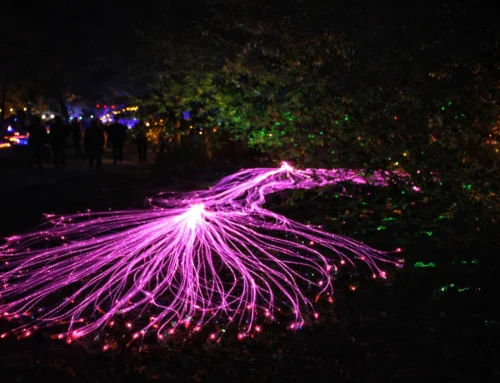 046. 바닥 광섬유 연출