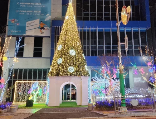 경기도 성남 제7회 복정동 빛축제