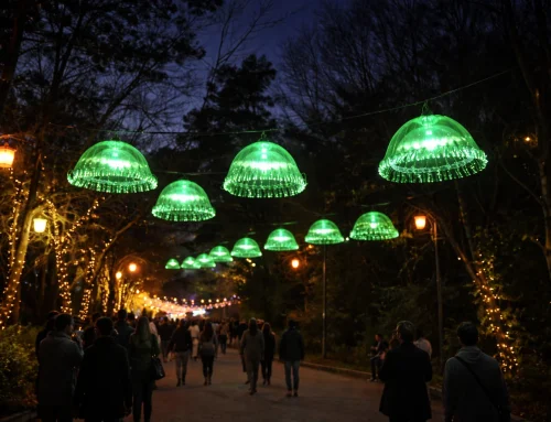 045. 소형해파리