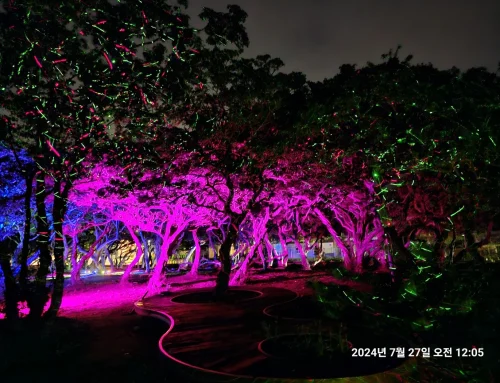 십리포해수욕장경관조명