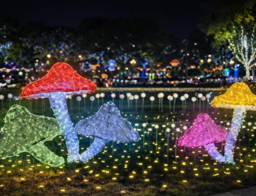 152. 환봉 은하수버섯